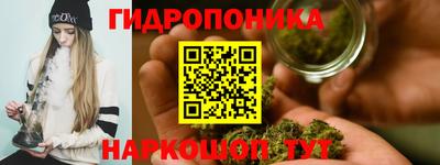 кокс Кандалакша
