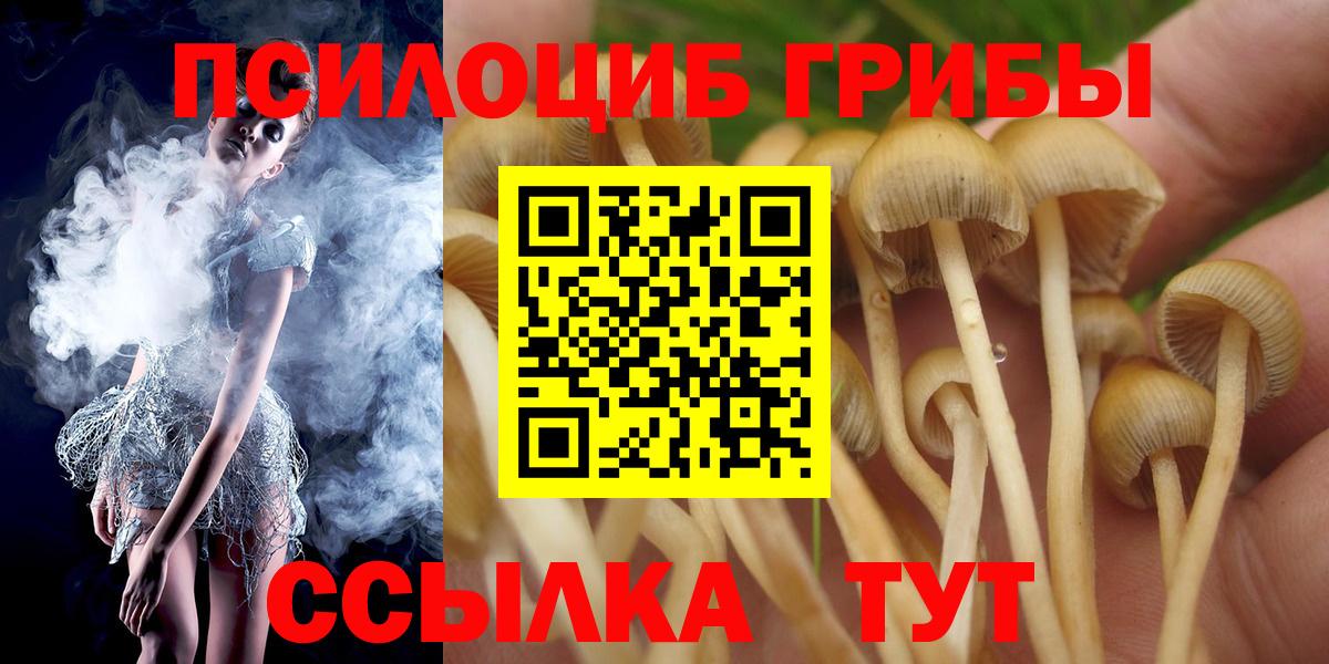 Галлюциногенные грибы Cubensis  Вход с VPN  Ликино-Дулёво  Псилоцибиновые грибы Psilocybine cubensis 
